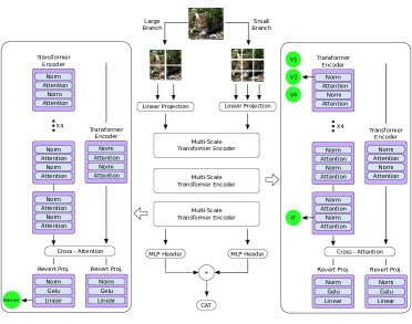 Joint Rotational Invariance and Adversarial Training of a Dual-Stream Transformer Yields State of the Art Brain-Score for Area V4